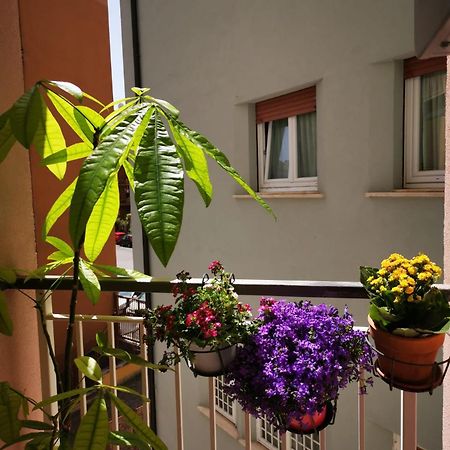 Ferienwohnung Apuleio 11 Rom Exterior foto
