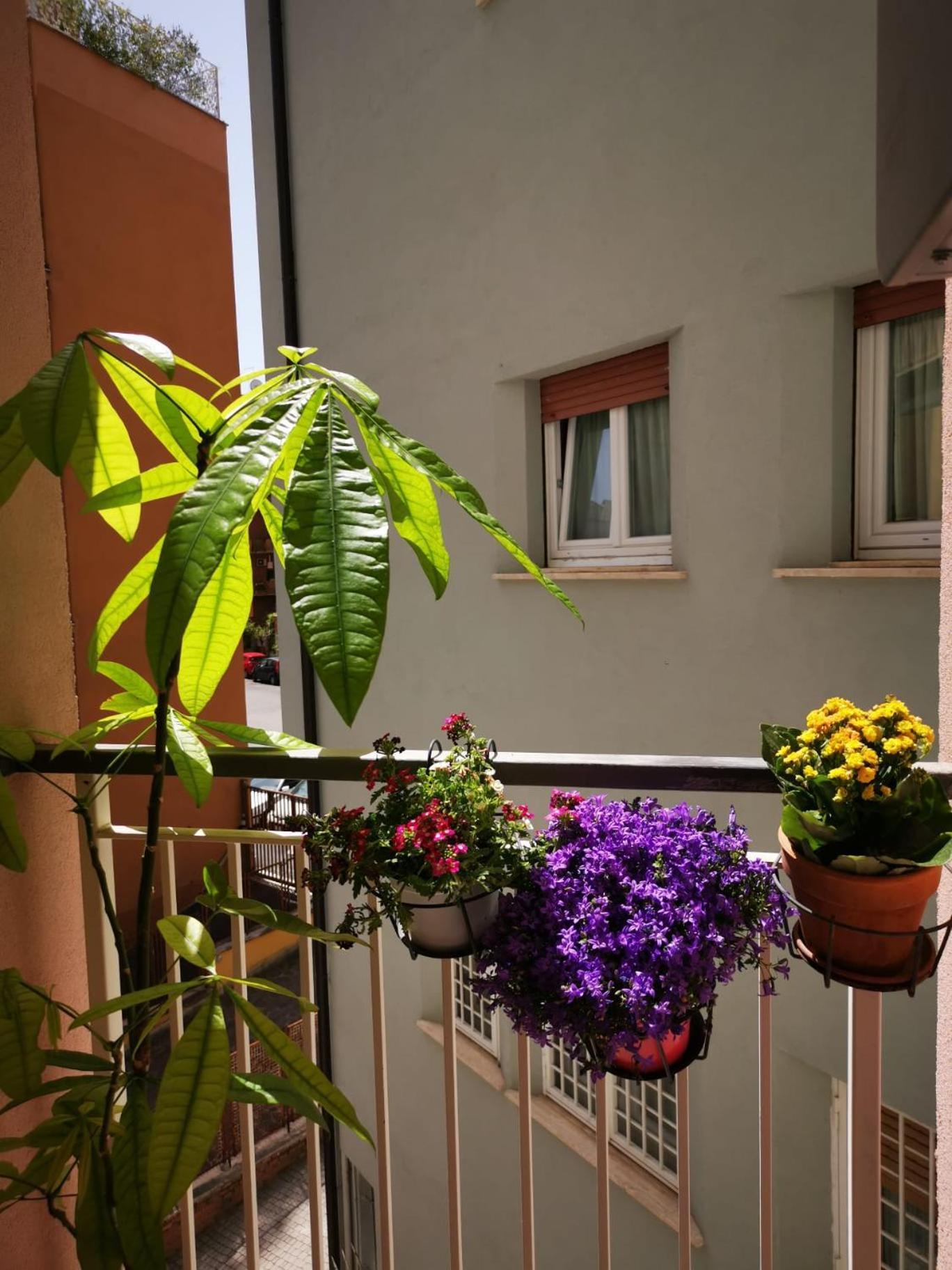 Ferienwohnung Apuleio 11 Rom Exterior foto